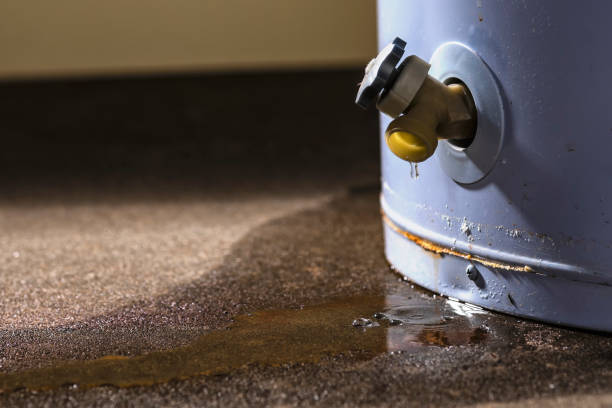 Best Flood restoration services  in North St Paul, MN