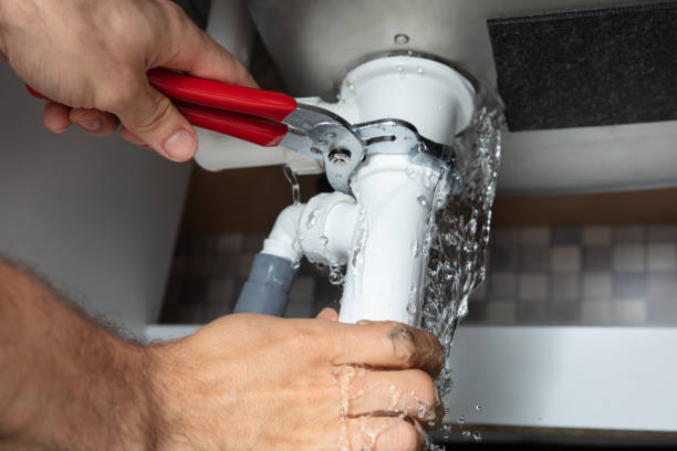 Best Flood damage cleanup  in North St Paul, MN