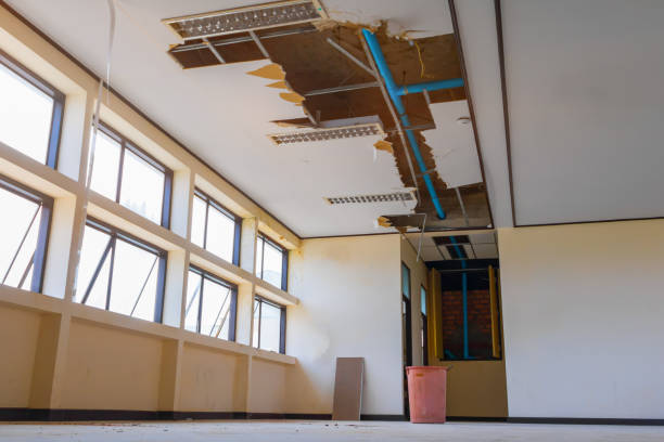 Best Water damage restoration near me  in North St Paul, MN