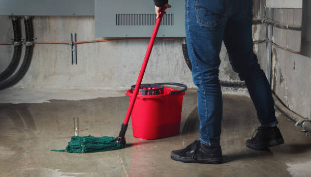 Best Emergency water damage restoration  in North St Paul, MN