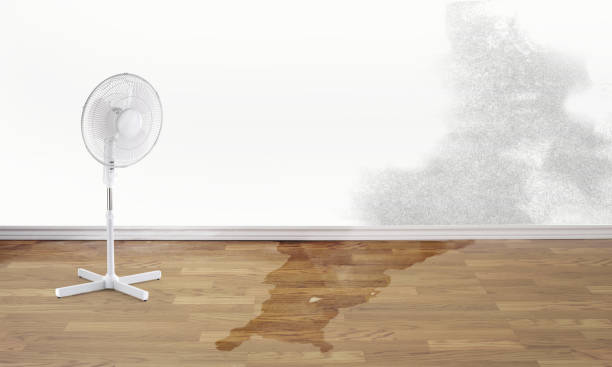 Best 24-hour water damage restoration  in North St Paul, MN