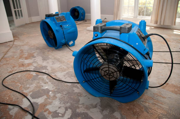 Best Water damage cleanup near me  in North St Paul, MN