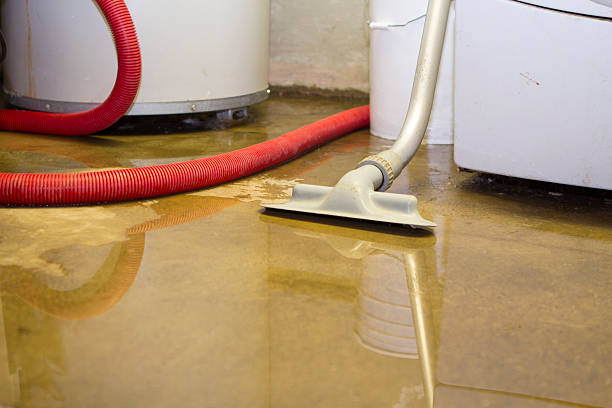 Best Fire Damage Restoration  in North St Paul, MN