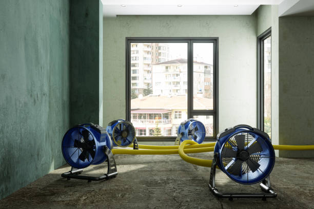 Best 24-hour water damage restoration  in North St Paul, MN